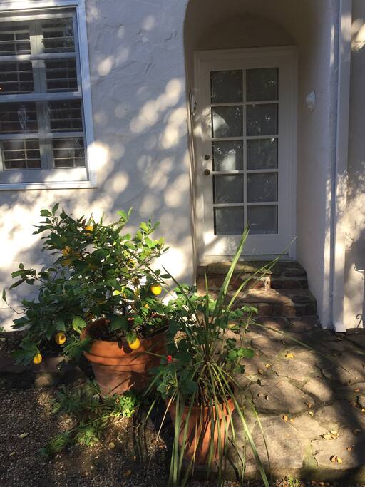 Entrance to accommodations that leads into open space kitchen and dining