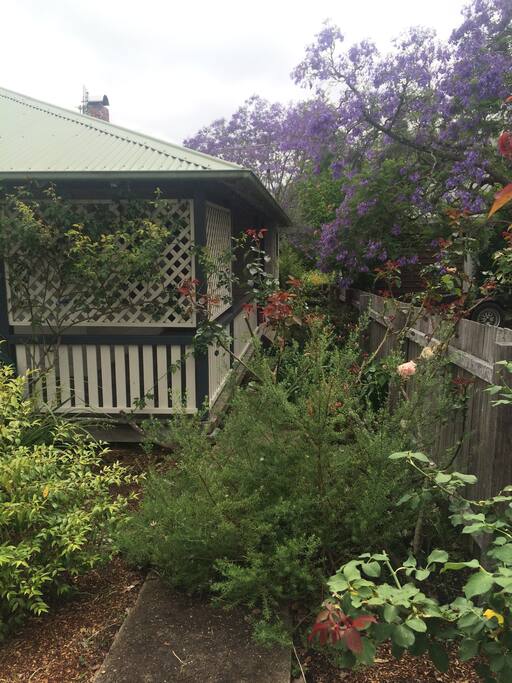 Front Garden