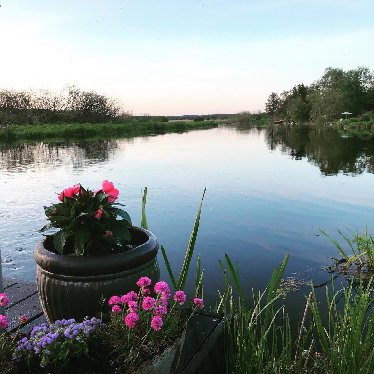A serene view of a calm river reflects the soft hues of dusk. Colorful flowers adorn the foreground, with pink blossoms and vibrant greens framing the water. Lush vegetation lines the riverbank, creating a peaceful natural setting ideal for relaxation and enjoyment of the outdoors.