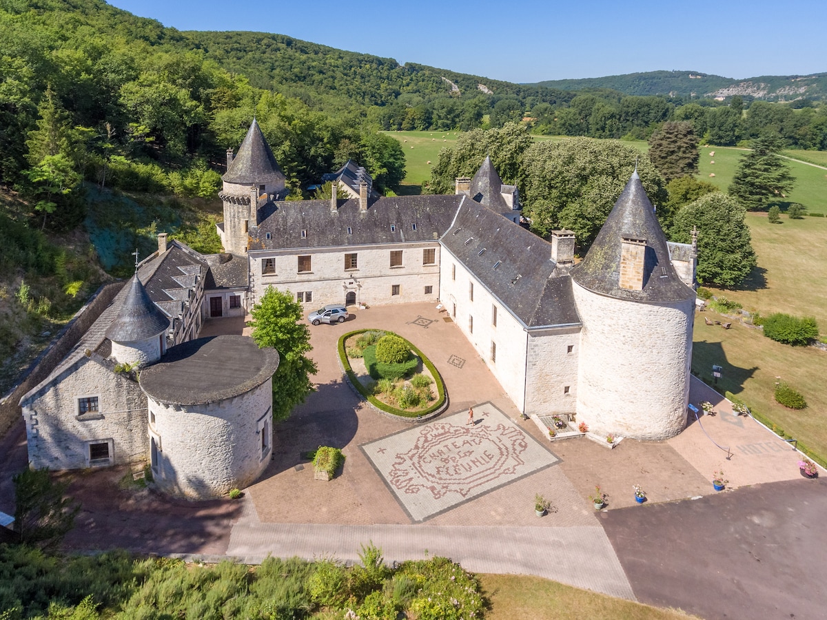 Aerial view of a historic château surrounded by lush greenery. The building features distinct architectural elements including round towers and a circular courtyard, adorned with a decorative stone pattern. Inviting pathways lead through landscaped gardens toward the expansive natural landscape beyond.