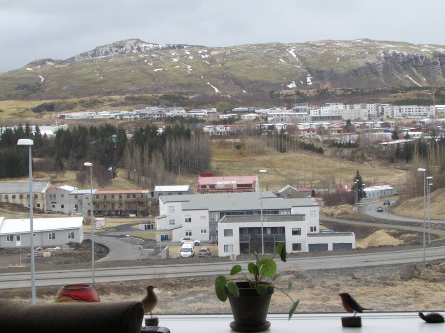 view from the dining room