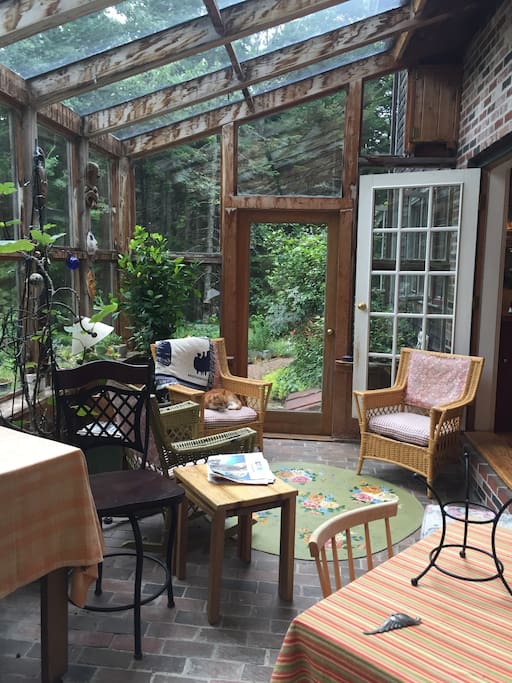 The solarium with visiting neighbor cat. (Cat does not live here and I haven't seen her in months.)