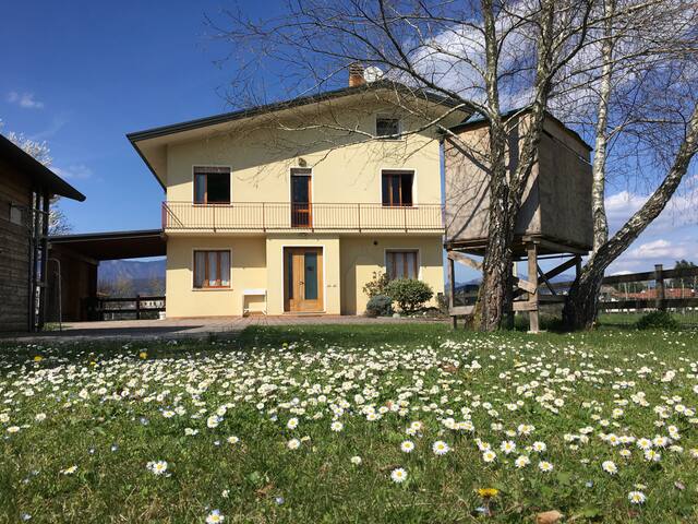 Room in the Prosecco area