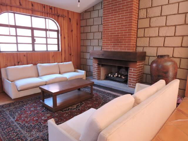 La Casita de Coyoacán (Casa completa 21 huéspedes) gallery image 5