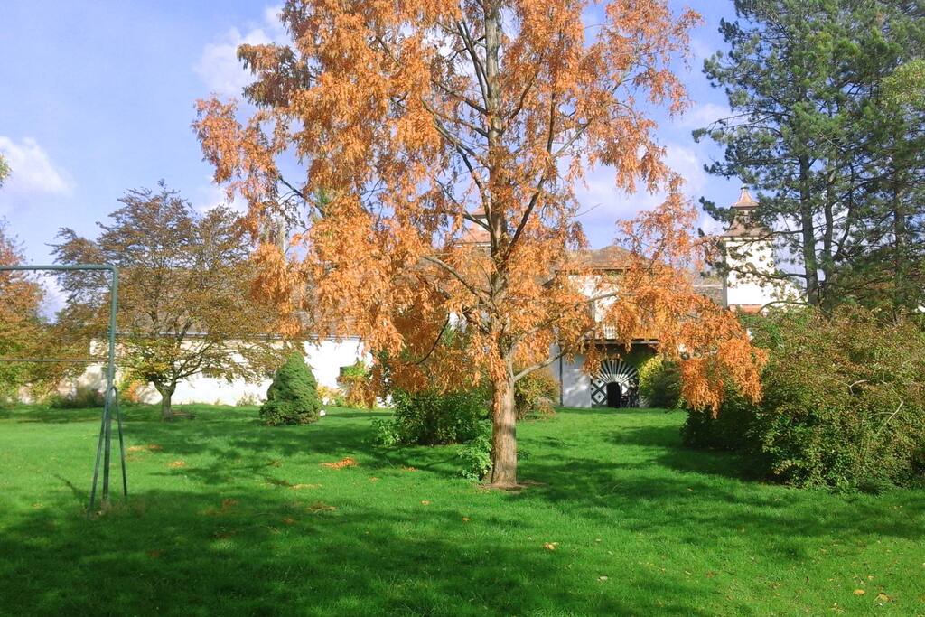 Blick auf das Schloss aus dem Garten