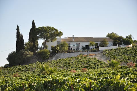 Country house in vineyard 15 minutes from the beach