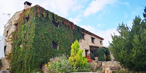 Mas de l'Arlequi. Magnifica Masía restaurada