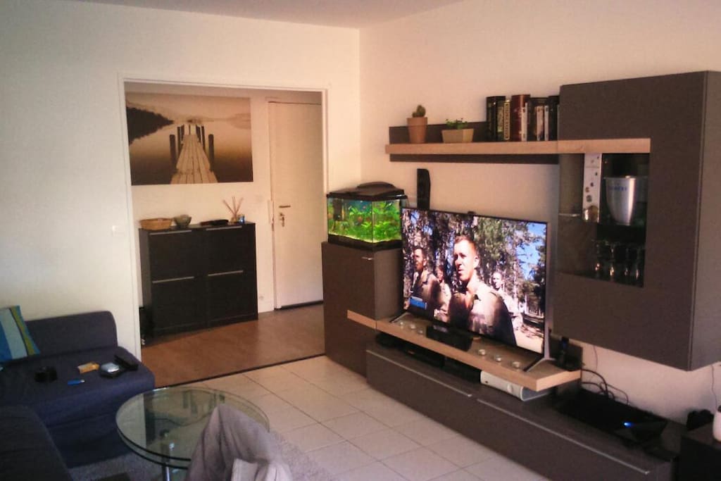 Séjour TV