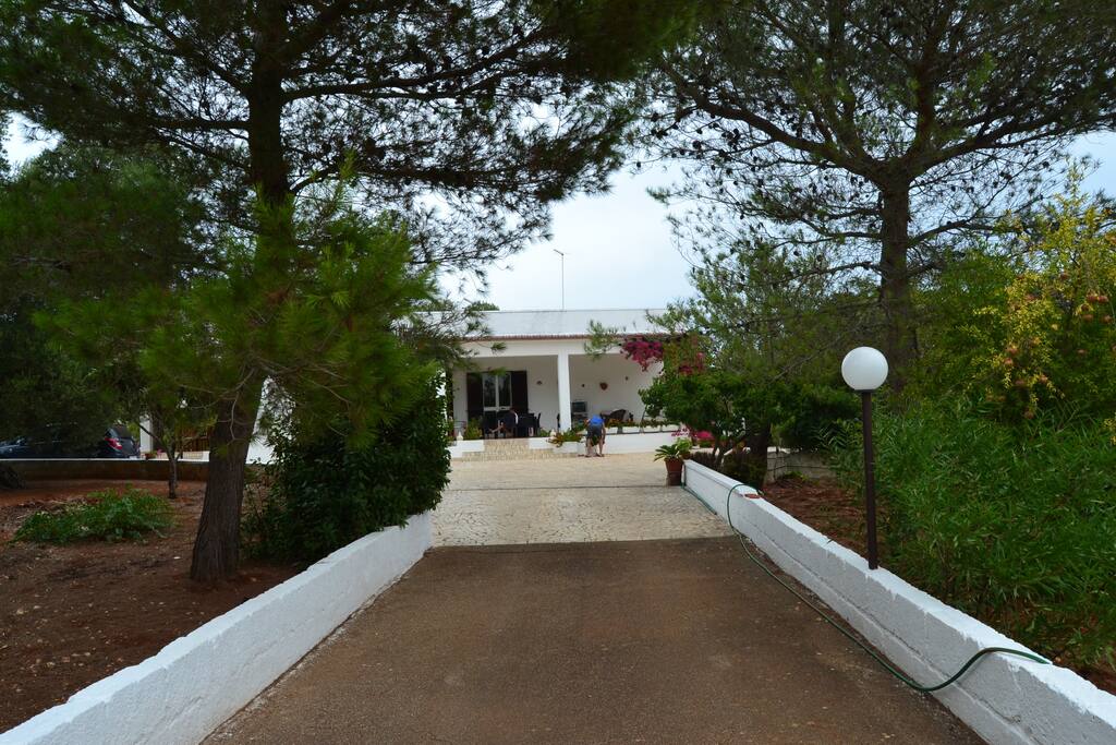 Viale di ingresso