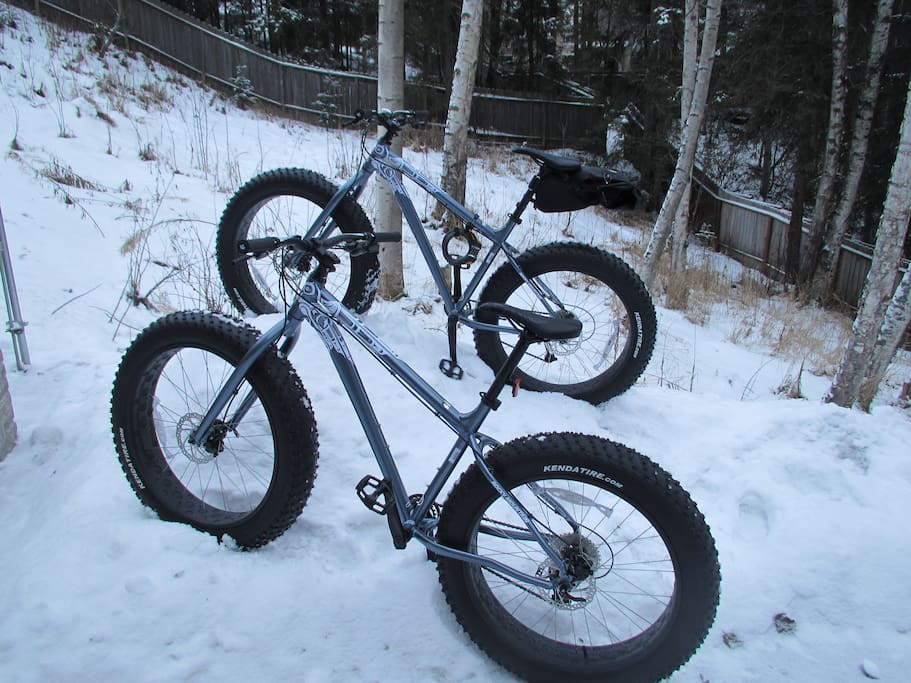 I have you covered for winter biking. Not as fast as regular bikes, but these fat tire bikes will take you over snow and ice where skinny tires fear to tread.