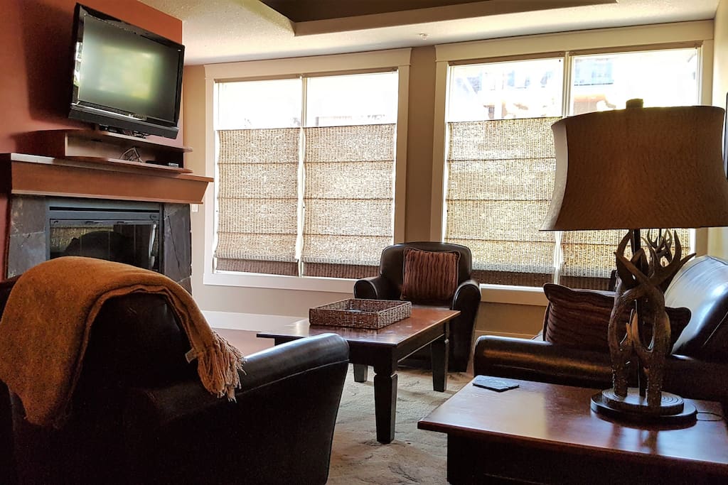 Living room showing TV and fireplace