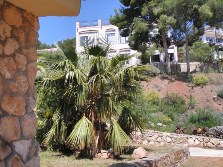apartamentos