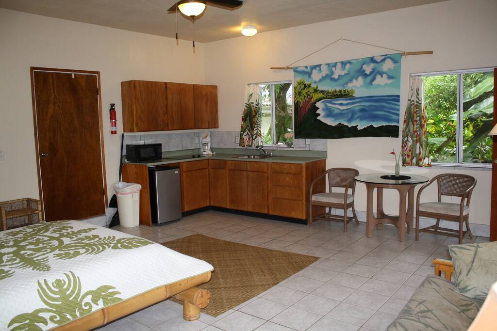 Fully-equipped kitchen with flush-top stove and appliances