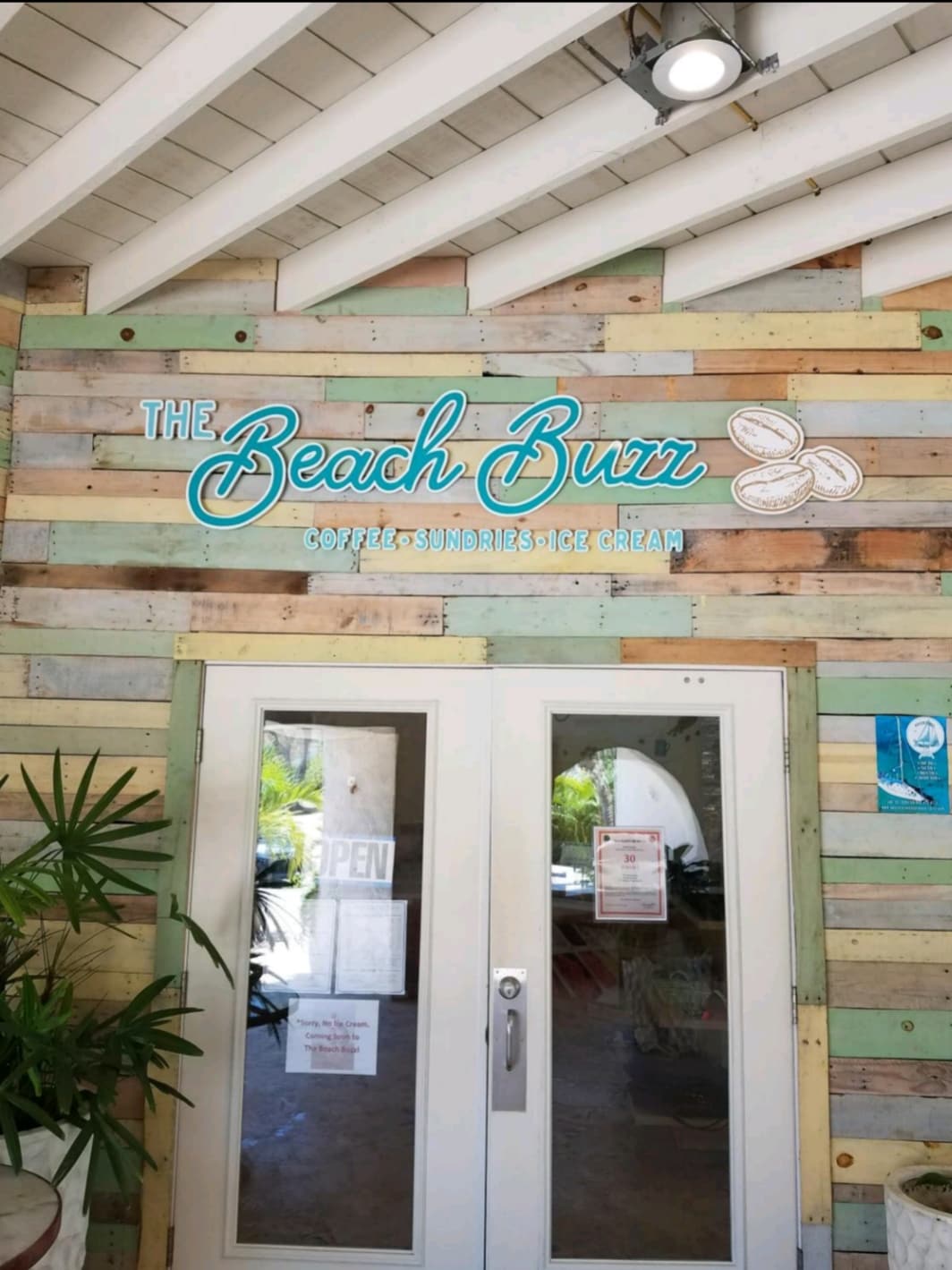 The entrance to The Beach Buzz café is framed by rustic wooden panels in varying pastel shades. The sign displaying the café's name is prominently featured above the glass double doors, which are flanked by potted plants. A colorful open sign indicates business hours.