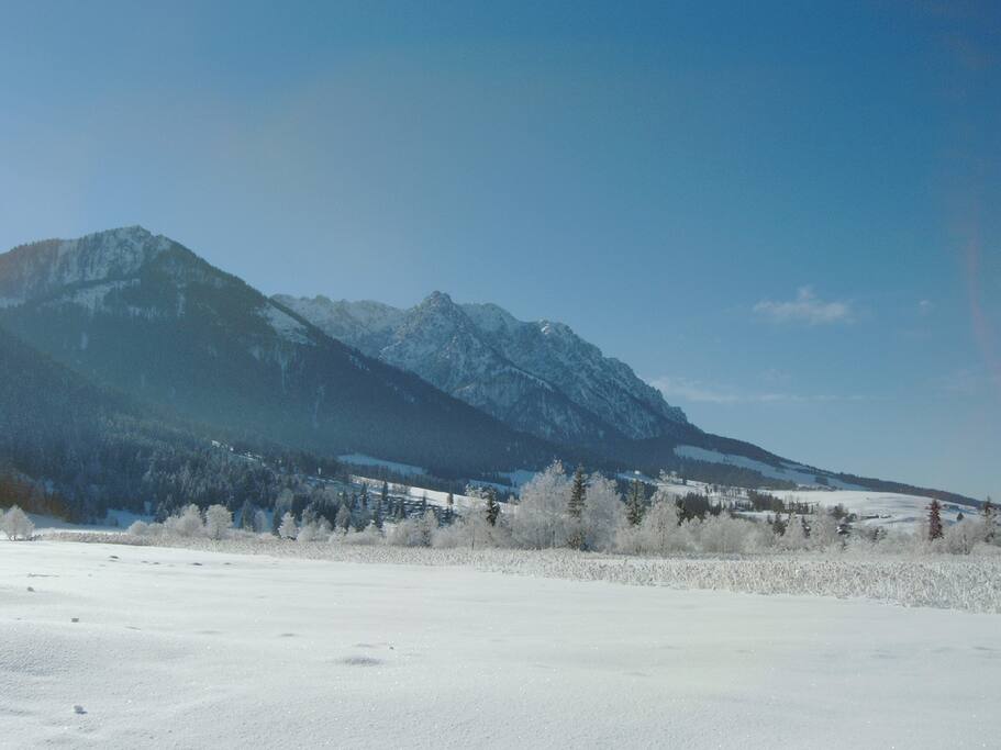 Mountain Inn Chalets Walchsee - Cabins for Rent in Walchsee
