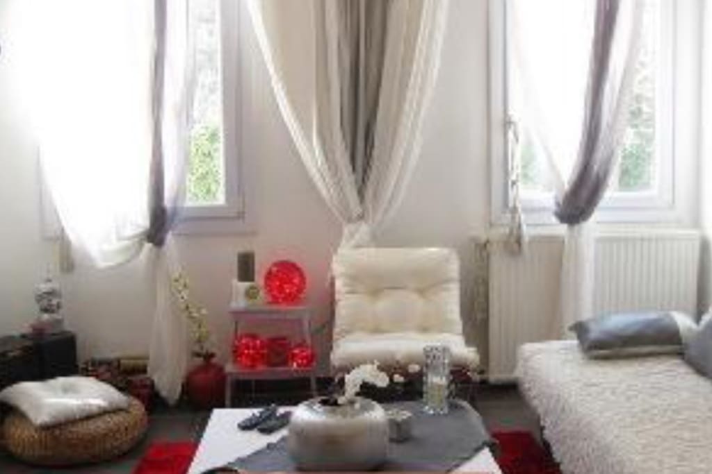 Grand salon très agréable et confortable très lumineux avec vu sur jardin