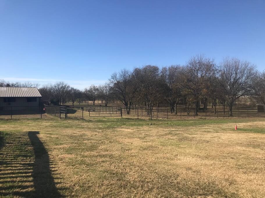 Beautiful views of horse pastures!