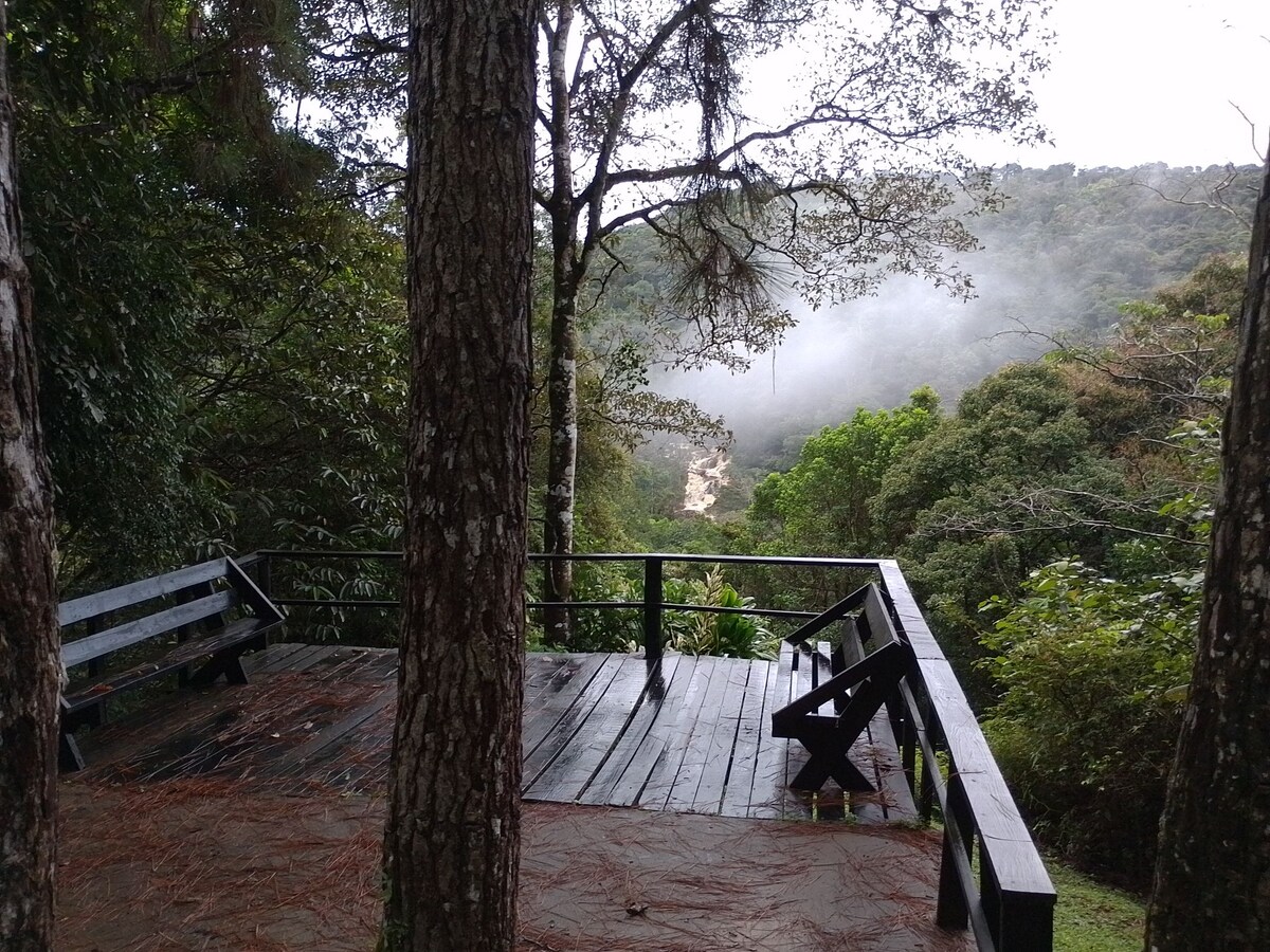 A wooden deck is surrounded by tall trees, offering a view of lush green mountains veiled in mist. The area features two benches, inviting guests to enjoy the serene natural surroundings.