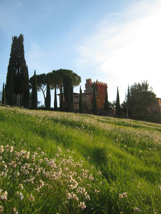 the tower from the main road