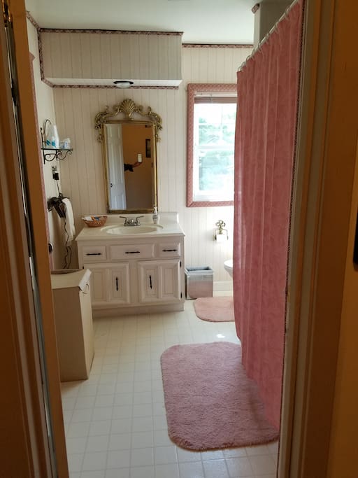 Bathroom with tub/shower,high stool, linen closet, scale, hair dryer, amenities (shampoo, conditioner, toothpaste, body lotion and cap).