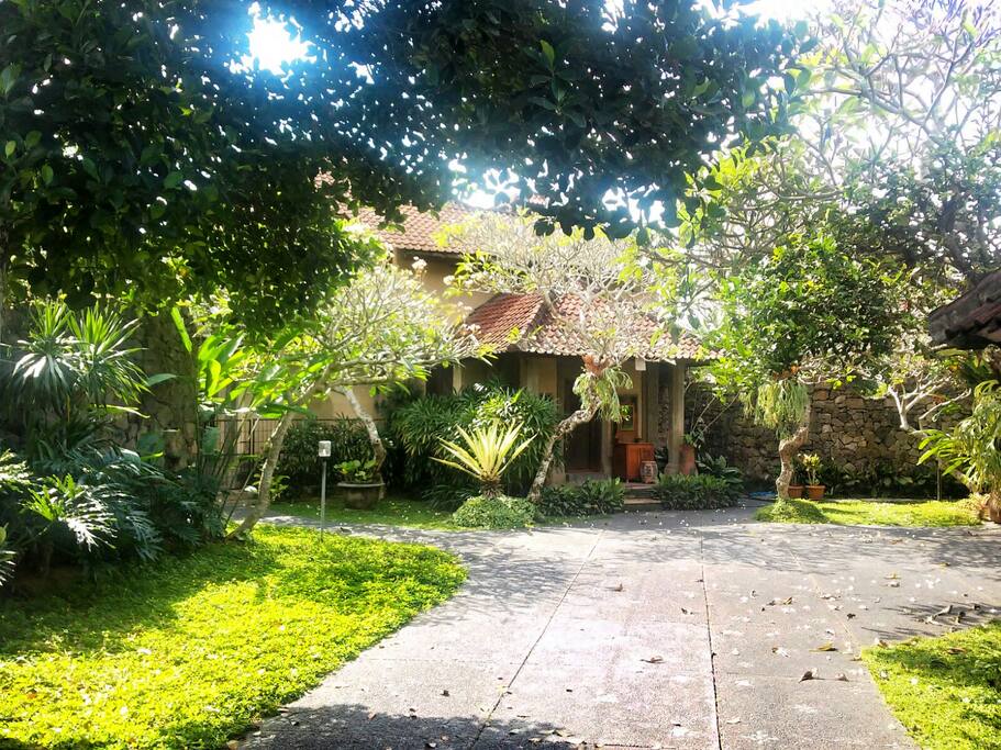 At front of the house
