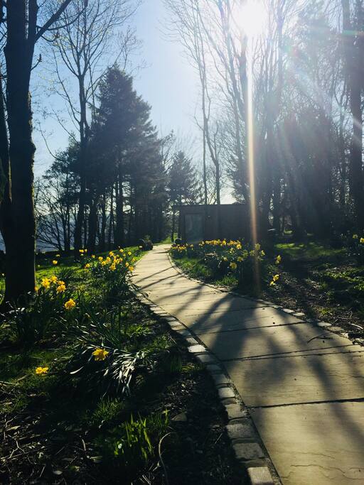 Spring time at the Cabin