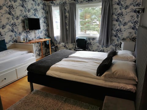 Rallarheim - Room with private bathroom and balcony, Flåm