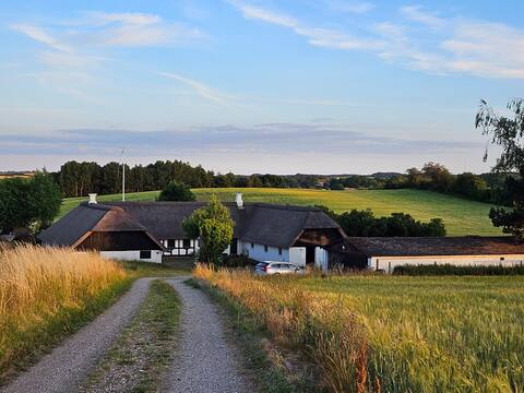 Farmstay close to beach and city of Ebeltoft