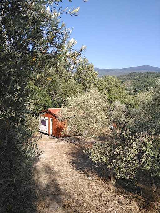 the chalet