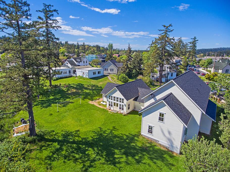 View of the backyard