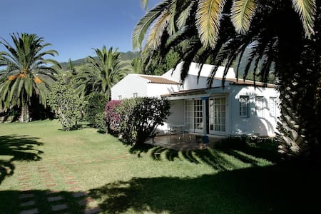 Top 20 holiday lettings la orotava, holiday rentals & holiday ... Cuarto Patio creativo En lavado de