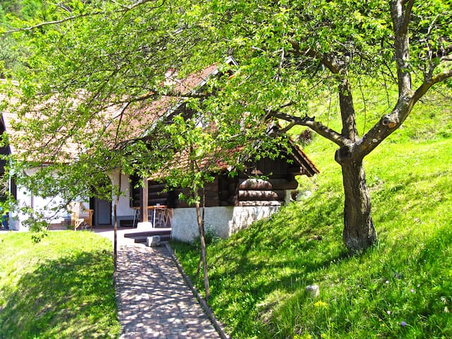 Romantic chalet in the countryside