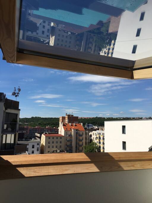View to the north