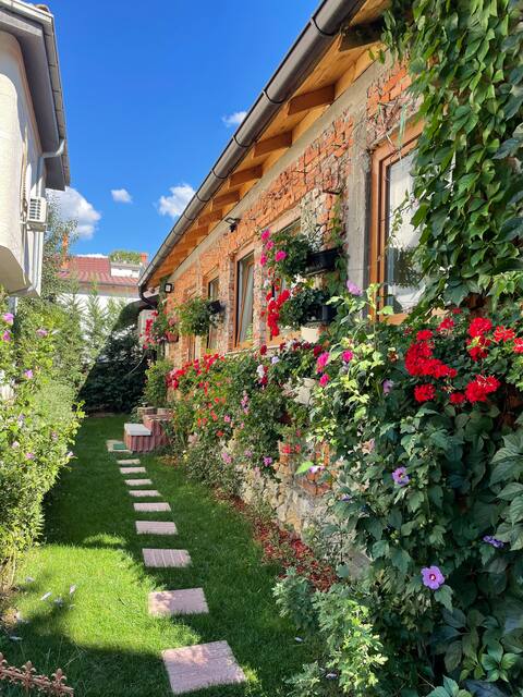 Flower House in the City Center