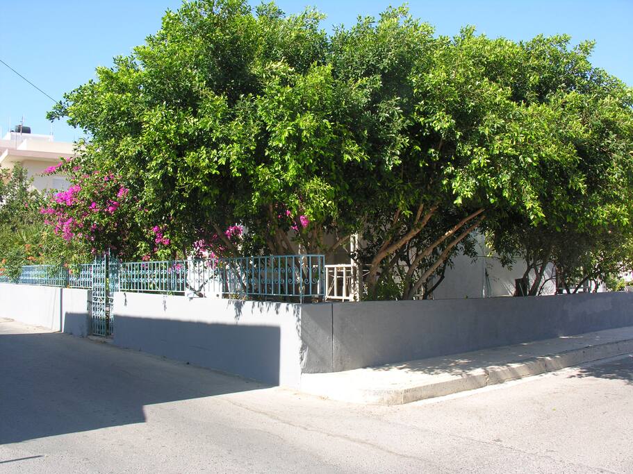 Το σπίτι όπως φαίνεται από τον κεντρικό δρόμο
The house as seen from the road