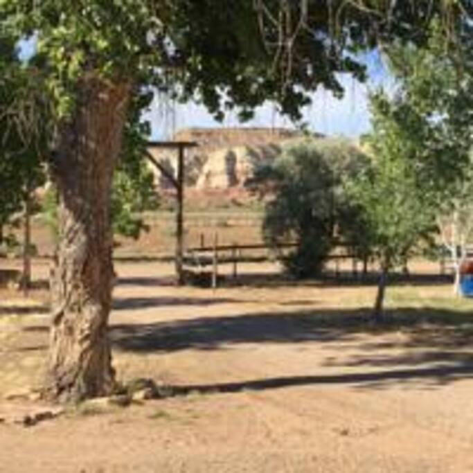 View from the front porch