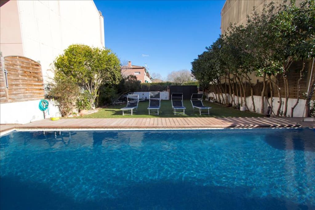 Swimming pool and sunbeds