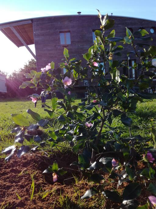 Gite nature