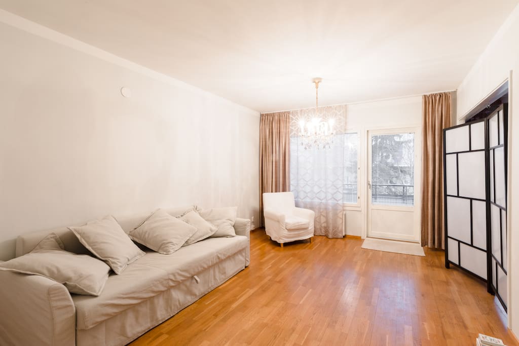 Living room - pic 2. The sofa can be converted to a bed for two.