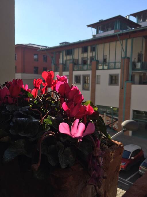 View through living room window