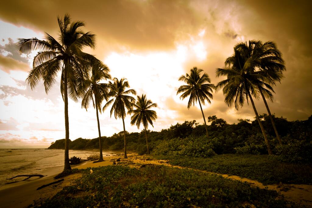 Where the beach is a protected 4 mile stretch of white sand