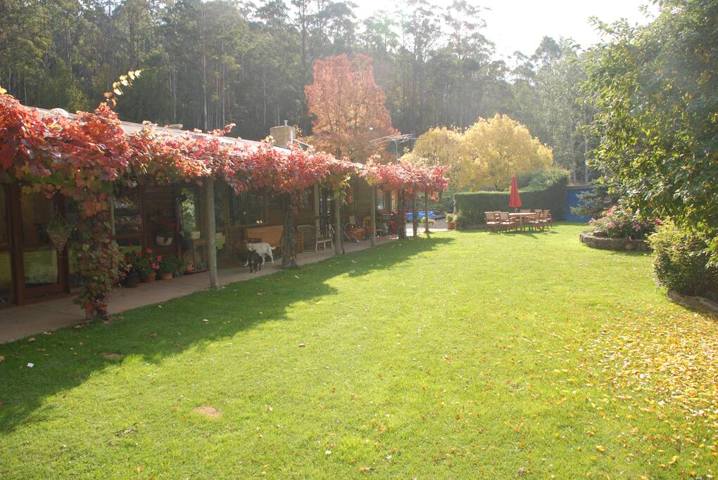 Autumn colours of the farm house