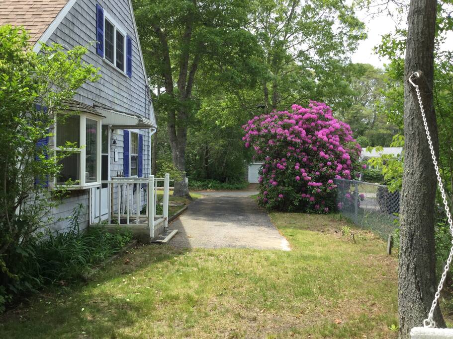 View of driveway from the back