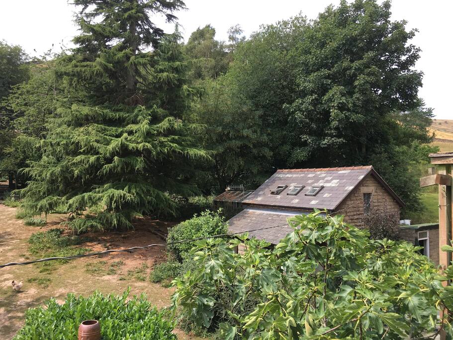The cottage at Naze House