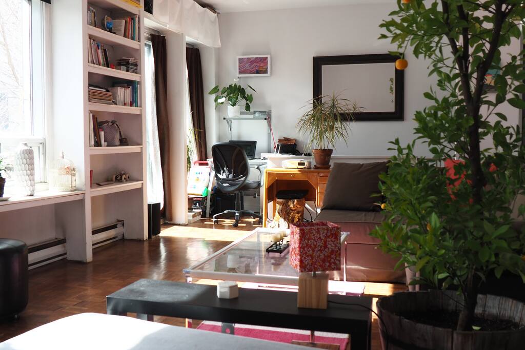 Salon et espace bureau