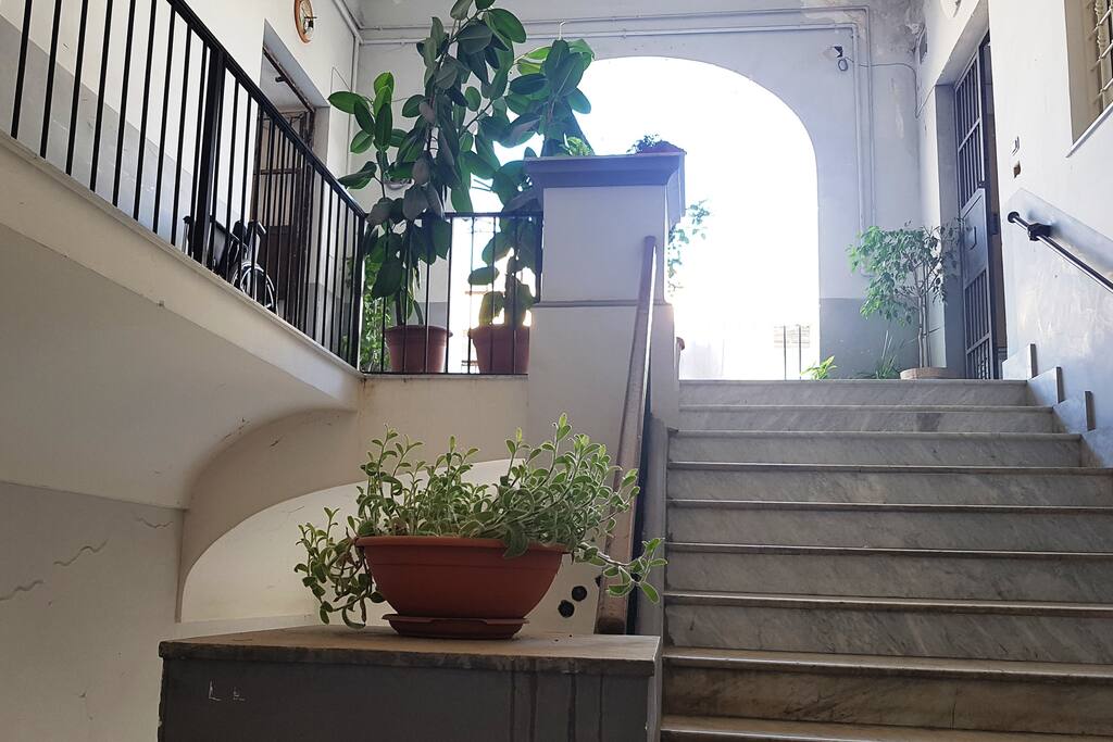 ingresso