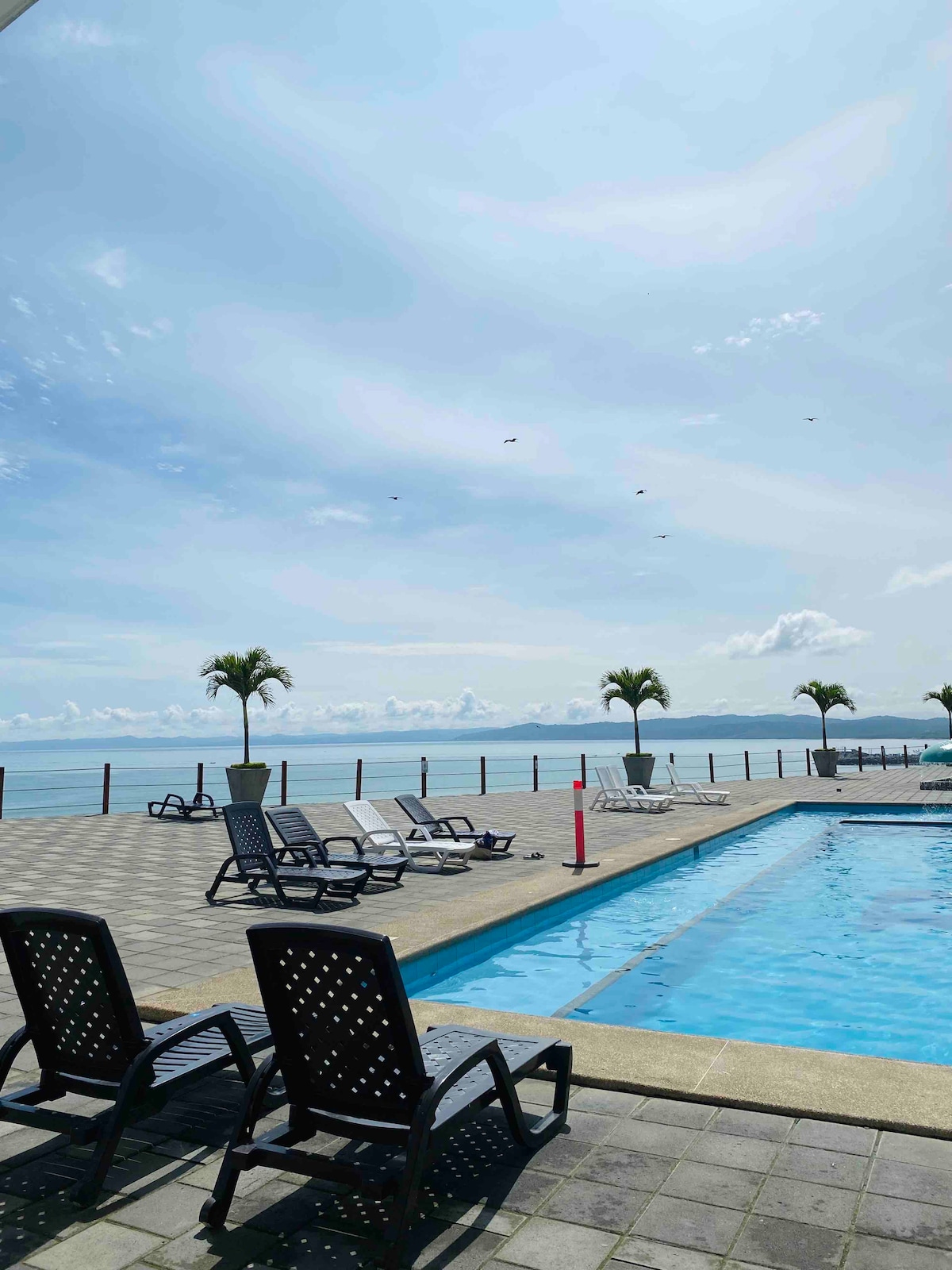 A serene pool area is visible, surrounded by lounge chairs. Palm trees line the edge, offering a tropical feel. The clear blue water of the pool reflects the sky, while the ocean is seen in the background under a bright, open sky.