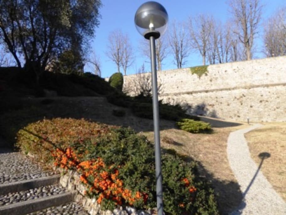 GIARDINO