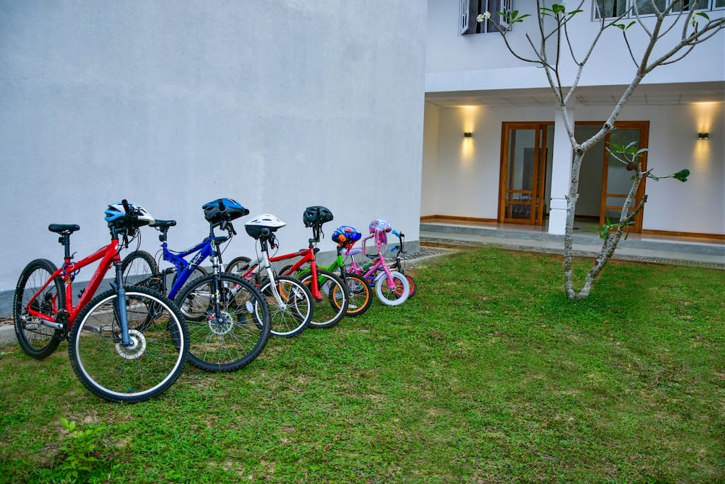 Bicycle available for rent