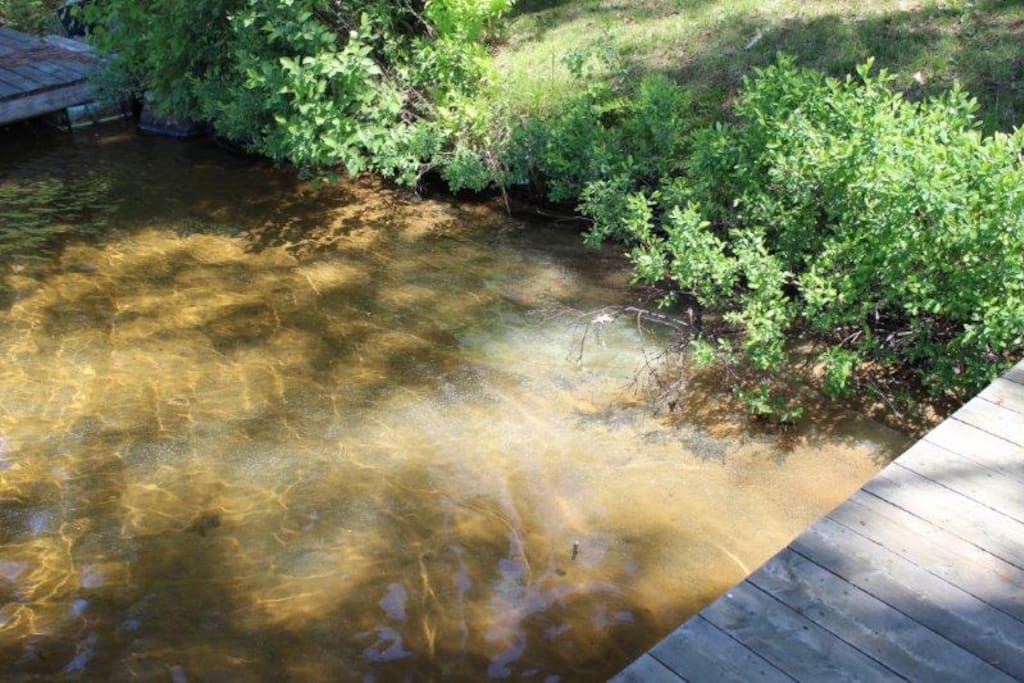 Sandy, shallow water entry